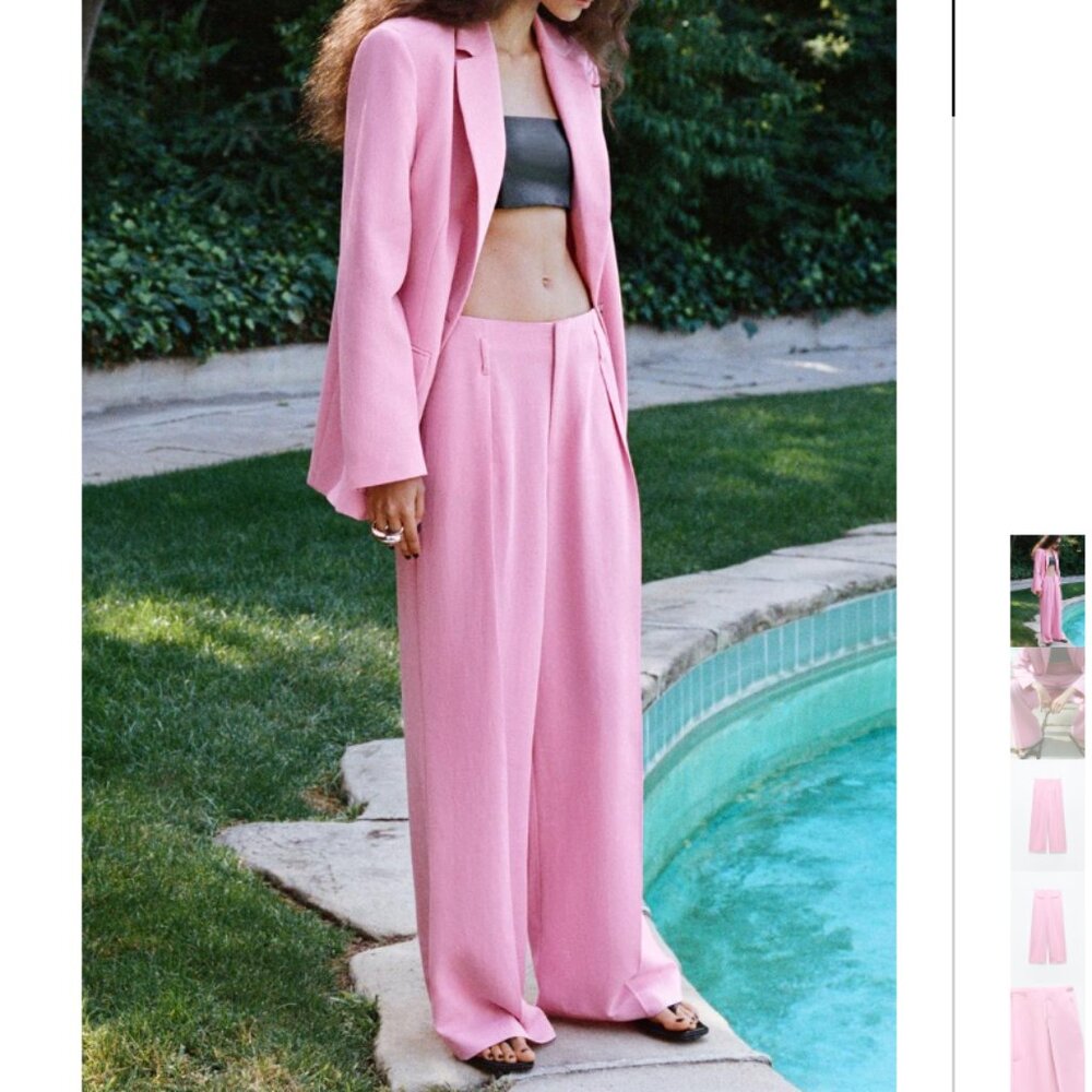 NWT ZARA BELT LOOP PLEATED PANTS LIGHT PINK